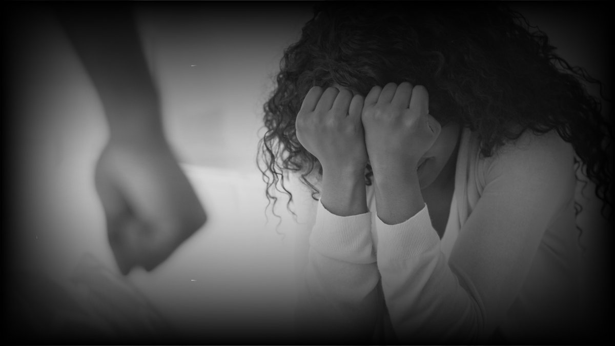 Help Build a Domestic Violence&nbsp;Registry
